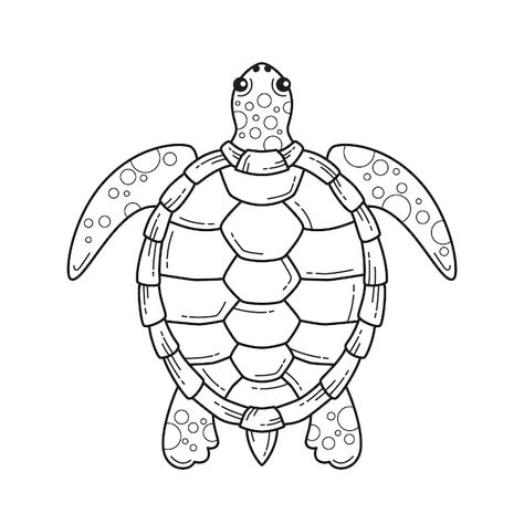 Turtle Drawing Realistic, Turtle Outline, Cute Turtle Drawings, Turtle Sketch, Sea Turtle Drawing, Sea Turtle Pictures, Turtle Images, Back Drawing, Skeleton Drawings