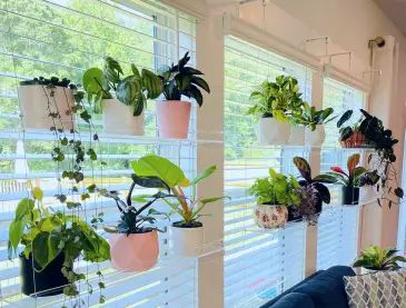 Clear Hanging Window Shelves That Help Plants Thrive Without Blocking Light | Apartment Therapy Shelves Over Windows Bathroom, Indoor Herb Shelf, Plant Shelves In Window, House Plant Window Display, Sunroom Plant Room, Curtain Rod Hanging Plants, Plants Over Kitchen Sink, Plant Displays Indoor, Narrow Shelf Ideas