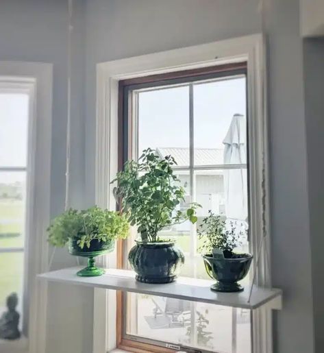 5+ Top Window Plant Shelf DIY Decor Ideas In [current-year] Plants Window Shelf, Hanging Shelf Kitchen Window, Window Shelf Plants, Diy Window Sill Shelf, Plant Shelf In Front Of Window, Window Plant Shelves Diy, Shelf Kitchen Window, Shelf Diy Ideas, Kitchen Window Plant Shelf