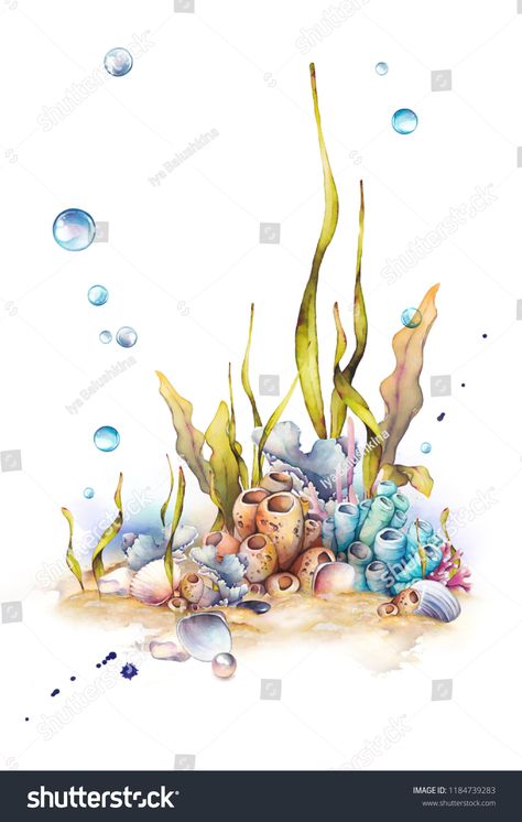 Hand Composition, Watercolor Shells, Underwater Drawing, Coral Painting, Decor Marin, Scrapbooking Design, Ocean Drawing, Underwater Plants, Sea Plants