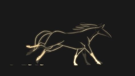 Golden run by maskman626 12 Principles Of Animation, Animation Drawing Sketches, Animated Infographic, Principles Of Animation, Horse Animation, Line Animation, Animal Movement, Pencil Test, Animation Artwork