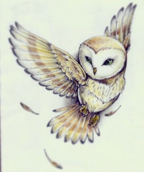 Snow Owl Tattoo, Barn Owl Tattoo, Owl Tat, Fly Drawing, Vogel Tattoo, Owl Tattoo Design, Original Tattoos, Tattoo Graphic, Tatuaje A Color