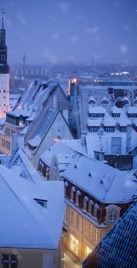 passport-life: “Tallinn| Estonia ” Estonia Travel, Winter Szenen, Winter Magic, Winter Scenery, Winter Beauty, Innsbruck, Winter Pictures, Winter Wonder, Tallinn