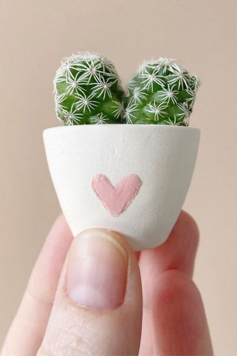 Best Valentine's gifts on Etsy for Teens: Tierra Sol Studio's mini cactus in planter Mini Cactus Plants, Teen Valentine Gifts, Kaktus Dan Sukulen, Plant Care Instructions, Minimal Plant, Handmade Ceramic Planters, Heart Ceramic, Best Valentine Gift, Mini Cactus