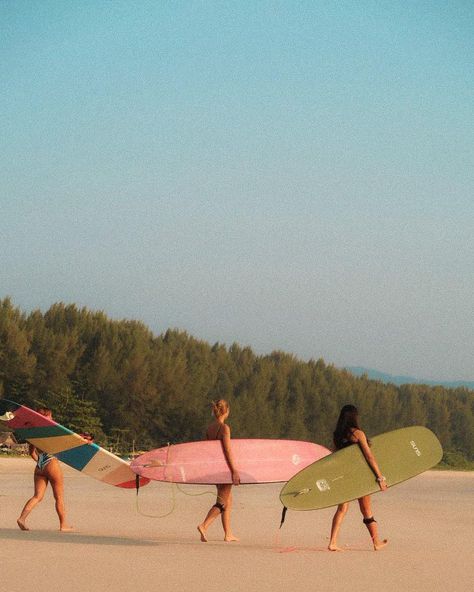 Surfing Together, People Surfing, Surf Pictures, Women Surfing, Surfer Girl Aesthetic, Surfer Aesthetic, Surfer Lifestyle, Surfing Aesthetic, Walking Together