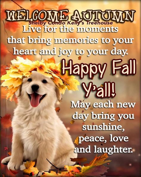 Happy Fall Quotes, Hello Fall Quotes, Wednesday Pictures, Fall Blessings, Special Friendship Quotes, Autumn Pictures, Friends Pictures, Mother Pictures, Wonderful Wednesday