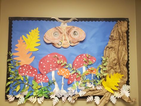 Nature Bulletin Boards Preschool, Mushroom Bulletin Board Ideas, Mushroom Themed Bulletin Board, Forest Bulletin Board, Mushroom Classroom, Mushroom Classroom Decor, Woodland Bulletin Board Ideas, Mushroom Classroom Decoration, Mushroom Bulletin Board