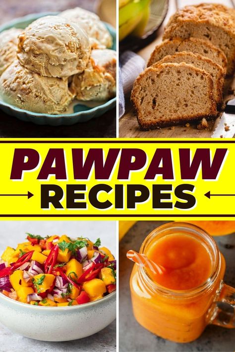 try these pawpaw recipes for fruity dishes the family will love. From salsa to bread to muffins, you won't be able to get enough pawpaw. Paw Paw Recipes, Pawpaw Bread Recipe, Tropical Fruit Recipes, Pawpaw Recipes, Paw Paw Fruit, Asian Cabbage Salad, Appalachian Recipes, Cocktail Pool, Culinary Tips