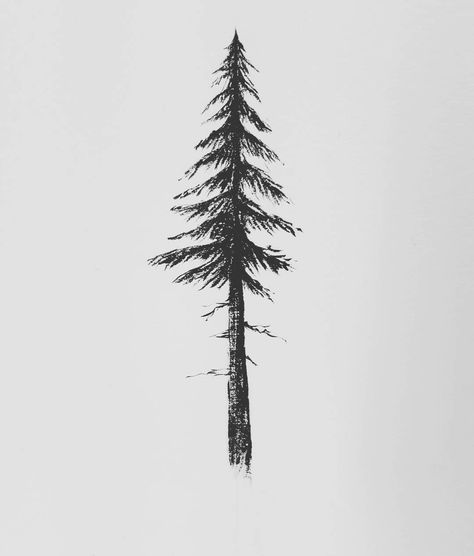 // pine Evergreen Tattoo, Tree Silhouette Tattoo, Pine Tattoo, John 1 16, Pine Tree Art, Grace Upon Grace, Connecting The Dots, Pine Tree Tattoo, Tree Tattoo Designs