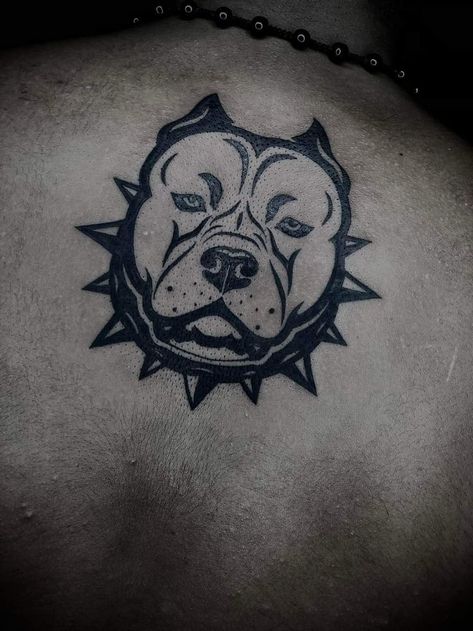 Pitbull Tattoo, Pitbull, Skull Tattoo, The Middle, Tatting, Tattoos