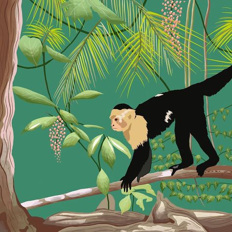 Melissa Kirkpatrick on Instagram: “Throwback to my Costa Rica trip, this was a monkey ready to steal everyone’s unguarded possessions on the beach 🐒 . . . #monkey #capuchin…” Capuchin Monkey Illustration, Costa Rica Animals, Costa Rica Trip, Costa Rica Art, Costa Rica Wildlife, Coffee Package, Monkey Illustration, Capuchin Monkey, Watercolor Art Diy