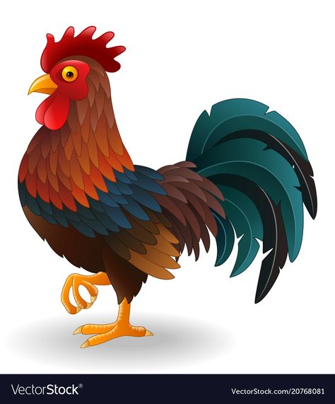 Rooster Illustration, Rooster Vector, Cartoon Rooster, Chicken Drawing, Inkscape Tutorials, Cartoon Chicken, Chicken Art, Chickens And Roosters, Cute Cartoon Animals