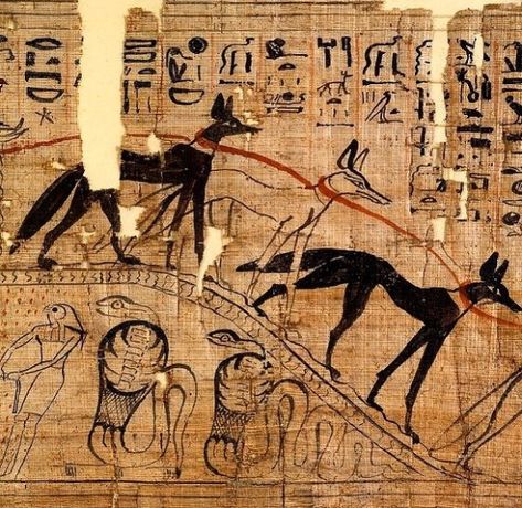 Snake Worship, Ancient Kemet, Ancient Africa, Egypt Museum, Egypt Culture, Egyptian Museum, Book Of The Dead, Ancient Egypt Art, Egypt History