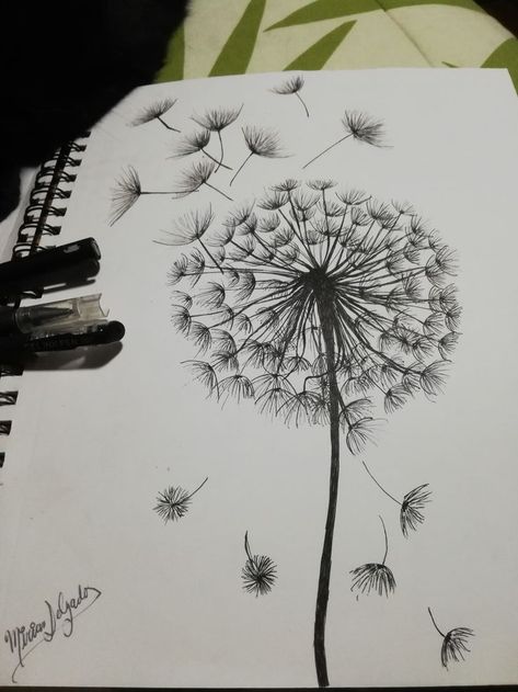 Drawing Dandelions, Kodama Tattoo, Dandelion Drawing, Drawings With Meaning, Pen Art Work, Sky Art Painting, Pen Art Drawings, Flower Art Drawing, Easy Drawings Sketches