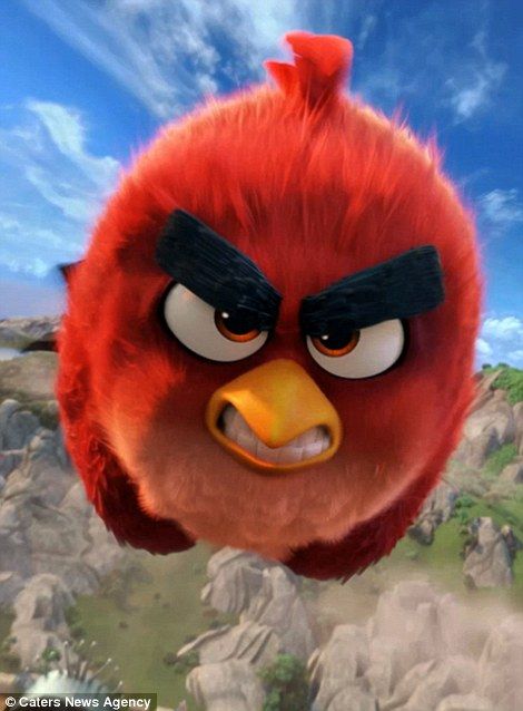 Pictured, the character 'Red' from the movie Angry Birds Angry Birds Movie Red, Angry Bird Pictures, All Angry Birds, Angry Birds Characters, Red Angry Bird, Angry Birds Movie, Cartoon Birds, Red Pictures, Famous Cartoons