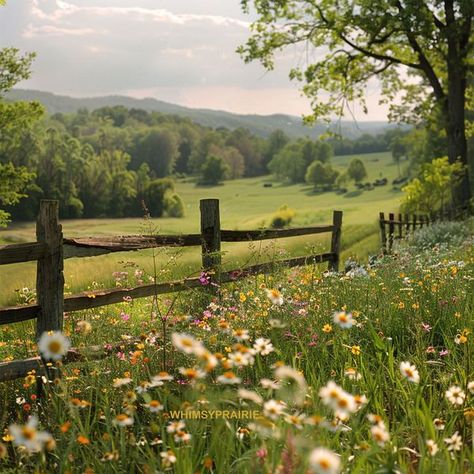 Whimsy Prairie Prairie Aesthetic, Prairie Core, Countryside Scenery, Prairie Landscape, Spanish Projects, Country Field, Canadian Prairies, Country Things, Random Aesthetic