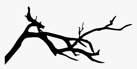 Scary Tree, Spooky Tree, Spooky Trees, Halloween Trees, Tree Branch, Hd Images, Png Transparent, Transparent Png, Free Png