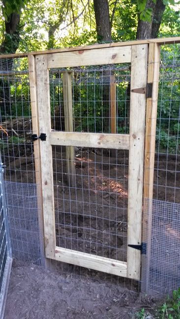 Easy DIY Chicken Run Door - Scott Family Homestead Chicken Run Door, Diy Pool Ideas, Chicken Barn, Chicken Tractors, Chicken Pen, Chicken Coup, Chicken Tractor, Urban Chickens, Chicken Coop Run