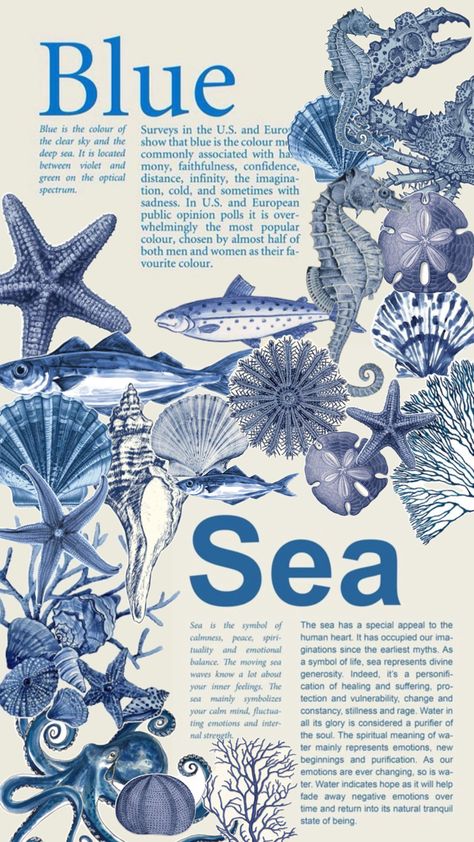 Sea Animal Poster, Summer Posters Aesthetic, Aesthetic Blue Posters, Blue Beach Aesthetic Wallpaper, Pretty Wallpapers Blue, Ocean Collage Wallpaper, Poster Prints Aesthetic Blue, Room Prints Aesthetic, Blue Posters Aesthetic