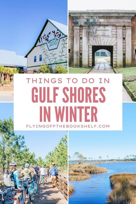 Is winter a good time to go to Gulf Shores and Orange Beach, Alabama? There's actually tons of things to do in Gulf Shores in Winter, including visiting the zoo, art classes, exploring Gulf State Park, and more! Things To Do Gulf Shores Alabama, What To Do In Gulf Shores Alabama, Orange Beach Alabama Things To Do In, Gulf Shores Alabama Things To Do In, Gulf Shores Alabama Vacation, Alabama Vacation, Gulf Shores Beach, Zoo Art, Alabama Beaches