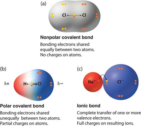 Covalent Bonds, Gcse Chemistry, Chemistry Study Guide, Chemistry Basics, Ionic Bonding, How The Universe Works, Study Chemistry, Ap Chemistry, Chemistry Education