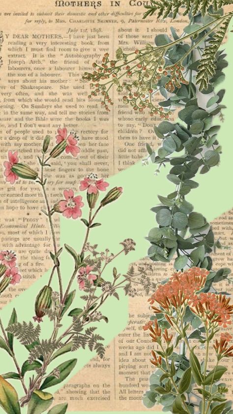 #plant #flower #flowers #aesthetic #pretty #fyp #green #paper #vintage #collageart #collages #collage Vintage Plant Aesthetic Wallpaper, Plant Collage, Green Collage, Leaves Decor, Floral Collage, Aesthetic Pretty, Flower Collage, Flowers Aesthetic, Plant Wallpaper