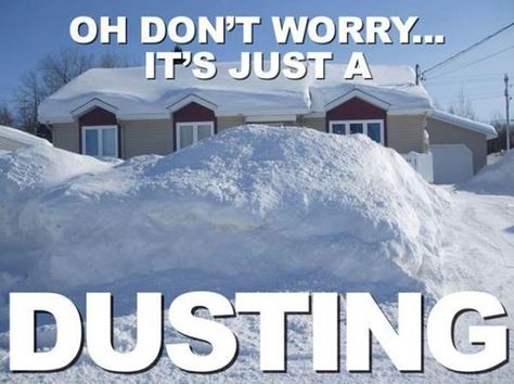 A New England dusting. Blizzard Meme, Nemo Memes, Snow Meme, Winter Humor, Snow Humor, Hate Winter, Lake George, Snow Storm, Down South