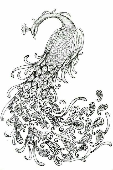 Colorless Drawing, Peacock Tattoo Ideas, Printable Tattoo Stencils, Rasta Art, Mangas Tattoo, Paisley Peacock, Printable Tattoos, Peacock Drawing, Peacock Tattoo