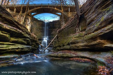 Illinois is renowned for its rich history as well as its natural beauty, which extends over many acres. There really is something for everyone in the state. From vast expanses of farmland to beautiful national parks. Shawnee National Forest, Starved Rock, Central Illinois, Southern Illinois, Moving On, National Forest, State Park, State Parks, Illinois