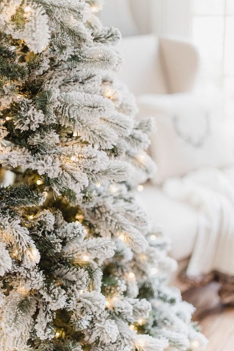 Connecticut life and style blogger Lauren McBride shares details and FAQs about her King of Christmas King Flock tree, including tree stand details. Natal, Christmas List Ideas, King Of Christmas Flocked Tree, Bohemian Christmas Decor, Christmas Dog Decor, Wallpaper Tree, Christmas Styling, Winter Aesthetics, Girly Christmas