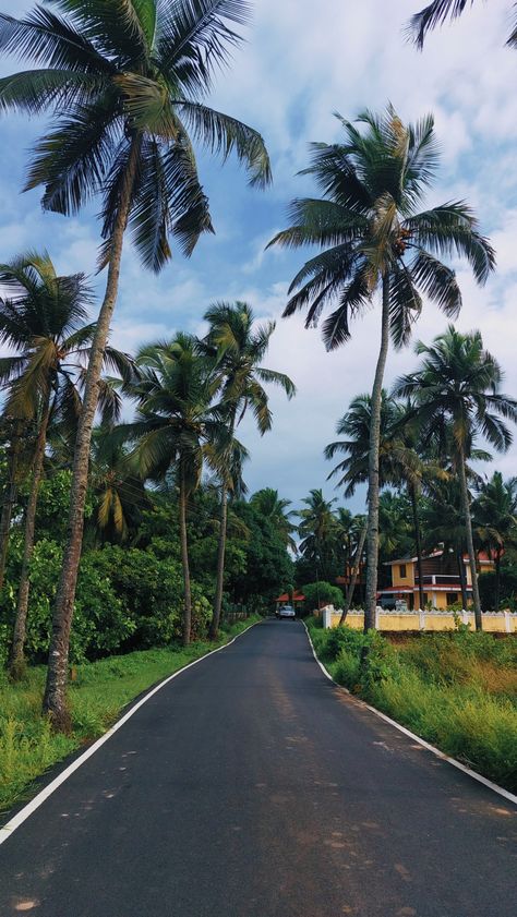 Parra Road Goa, Goa Painting, Kerala Snap, Goa Poster, Goa Snaps, Goa Nature, Goa Pics, Vacation Snaps, Goa Diaries