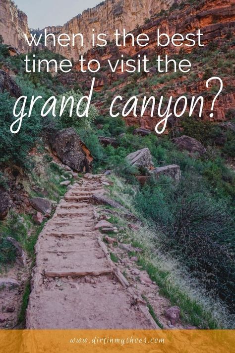 Grand Canyon On A Budget, Grand Canyon Trip Planning, Grand Canyon Vacation Outfits, Grand Canyon In March, Insect Project, Grand Canyon Vacation, Visiting The Grand Canyon, Trip To Grand Canyon, Arizona Adventure