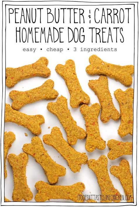 This Homemade Dog Treat Recipe is quick and easy to make! With just 3 ingredients: peanut butter, carrot, and oats. They are so cheap to make, and are healthy for your dogs too. And most important of all, dogs LOVE them!! #itdoesnttastelikechicken #dogtreats #dogtreatrecipe Carrots And Peanut Butter, Easy Homemade Dog Treats, Pet Treats Recipes, Butter Carrots, Dog Treat Recipe, Dog Treats Homemade Easy, Easy Dog Treat Recipes, Doggy Treats, Dog Biscuit Recipes