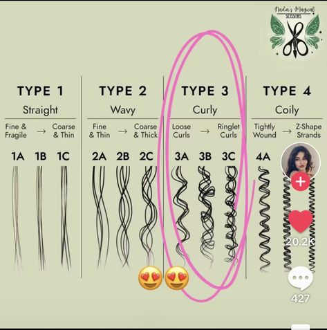 How To Oil Curly Hair, Hair Types Chart, 2b Curly Hair, 2b Hair, Hair Type Chart, 2a Hair, Quick Natural Hair Styles, Hair Stylies, Short Hair Styles Easy