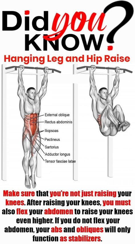 Leg Raise, Hanging Leg Raises, Muscle Abdominal, Leg Training, Gym Workout Chart, Exercise Plan, Calisthenics Workout, Sleeveless Shirts, Workout Chart