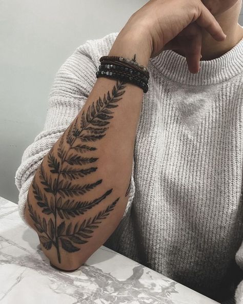 Man Tattoo Ideas, Natur Tattoo Arm, Aesthetic Tattoo Ideas, Fern Tattoo, Man Tattoo, Plant Tattoo, Botanical Tattoo, Up Tattoos, Aesthetic Tattoo