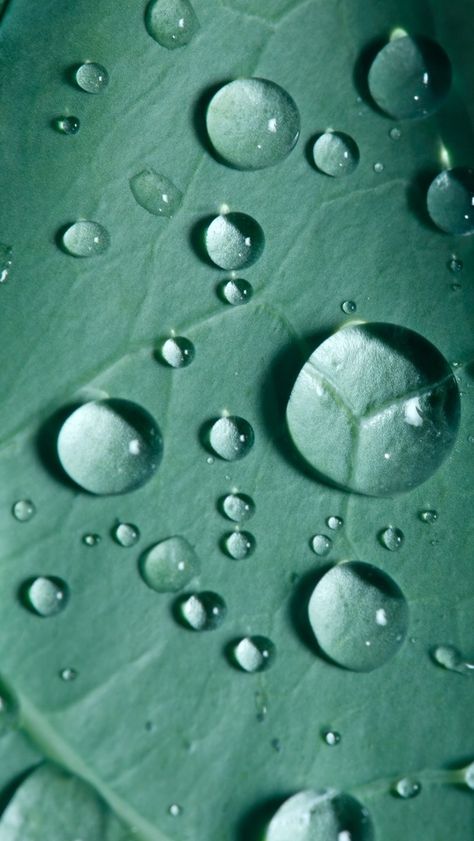 iPhone wallpaper Water Bubbles Wallpaper, Water Droplet Photography, Water Droplets Wallpaper, Water Droplets Photography, Water Droplets Art, Droplets Of Water, Drops Of Water, Bubbles Wallpaper, Water Photography