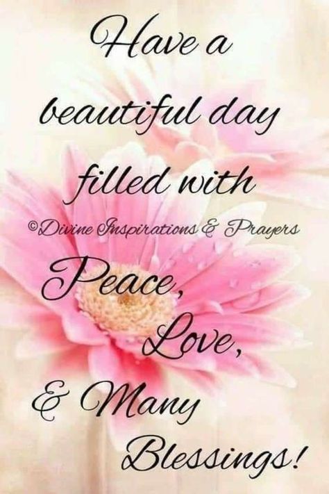 Happy Day Images, Divine Inspiration And Prayers, Blessed Morning Quotes, Good Afternoon Quotes, Afternoon Quotes, Good Morning Spiritual Quotes, Happy Morning Quotes, Good Morning Inspiration, Happy Good Morning Quotes