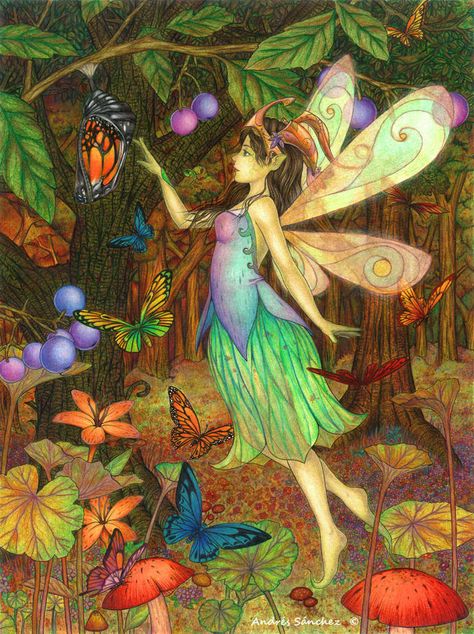 Fairy Paintings, Image 3d, Fairy Lamp, Love Fairy, Fairies Elves, Fairy Magic, Flower Fairies, Fairytale Art, Fantasy Fairy