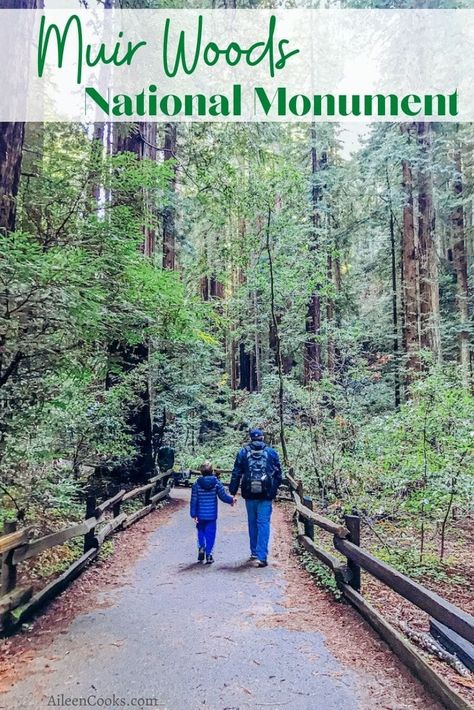 Muir Woods National Monument, Muir Woods, Visit California, Marin County, California Travel Road Trips, Family Travel Destinations, National Parks Trip, The Hustle, California Coast