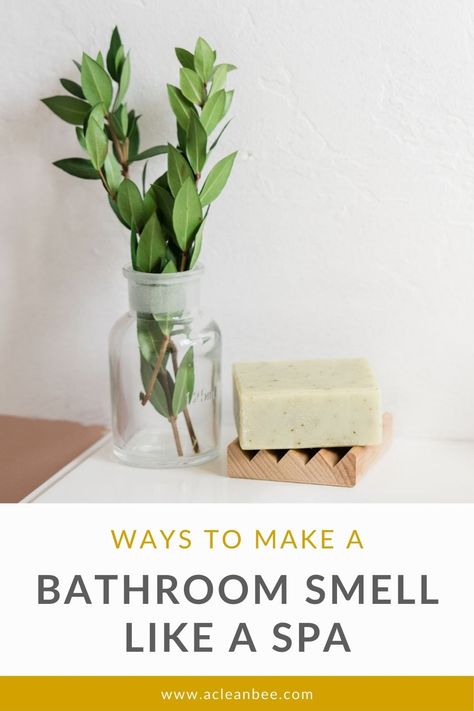 Who doesn’t love a fresh smelling bathroom? You can make your bathroom smell like a spa with some simple transformations like adding eucalyptus or using essential oil diffusers. Scent is a powerful sense that goes a long way in creating ambiance in your bathroom. Natural Cleaning Recipes, Essential Oil Safety, What Are Essential Oils, Chemical Free Cleaning, Bathroom Storage Solutions, Bathroom Smells, Citrus Oil, Cleaning Recipes, Shower Liner