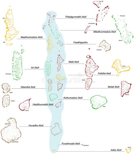 Map of the Maldives vector illustration Islands Illustration, Diving School, Tropical Gardens, The Maldives, Detailed Map, Island Resort, Tropical Garden, Luxury Resort, Maldives