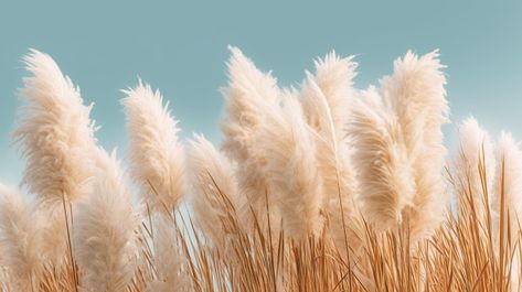 Free PSD pampas grass minimalist backgro... | Free Psd #Freepik #freepsd #pampas-grass #dry-flower #pampas #boho-floral Boho Facebook Cover Photos, Minimalist Background, Boho Background, Grass Wallpaper, Gallery Ideas, Pampas Grass Decor, Laptop Backgrounds, Dry Flower, Landscape Background