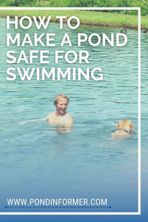 Jun 25, 2023 - Guide on how to make a pond safe for swimming, including how to treat & test a pond for swimming and the dangers of unclean swimming ponds. Natural Ponds Backyard Swimming Holes, Man Made Swimming Pond, Swim Pond Diy Natural Pools, Pond With Beach Area, How To Build A Natural Swimming Pond, Man Made Pond In Backyard, Solar Pond Fountain, Make A Pond, Large Pond Ideas