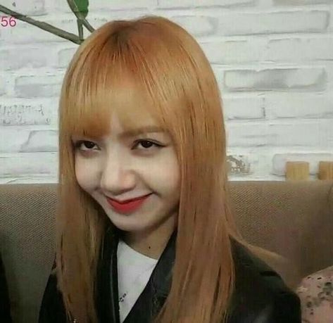 Memes Blackpink, Funny Photoshop, Bts Meme Faces, Blackpink Memes, Kpop Meme, Lisa Bp, Blackpink Funny, Memes Kpop, Meme Faces