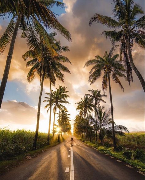 Sugarcane Field, Tropical Paradise Beach, Mauritius Holiday, Mauritius Travel, Mauritius Island, Around The World In 80 Days, Dream Holiday, Travel Adventure, Island Life