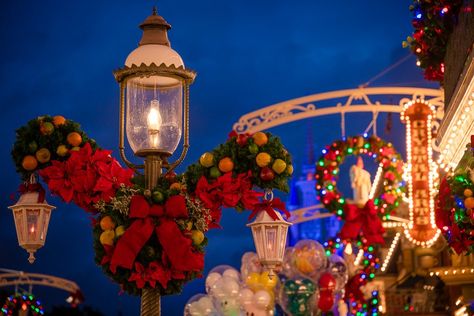 Deluge Debut of Christmas 2020 at Disney World! - Disney Tourist Blog November First, Disneyland World, Disney Tourist Blog, Disney World Christmas, Disney World Tickets, Country Bears, Splash Mountain, Cinderella Castle, Disney Holiday