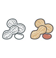 Cute Peanut Drawing, Peanut Drawing, Peanut Tattoo, Colored Icons, Boiled Peanuts, Animals Food, Doodle Icon, Leg Sleeve, Flat Icons