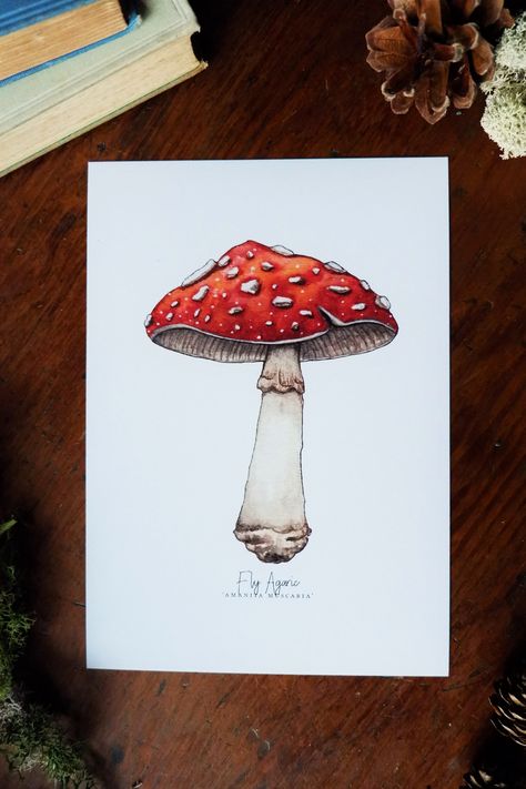 Fairytale Mushroom, Mushroom Collection, Watercolour Sketchbook, Nature Paint, Toadstool Mushroom, Mushroom Pictures, Life Flower, Fly Agaric, Mushroom Drawing