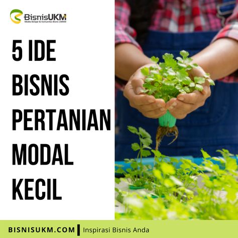 Bisnis pertanian ternyata bisa dimulai dengan modal yang kecil loh. Mau tau apa aja? Baca di sini!

#agriculture #agribusiness #business #farm #farming #fertilize #organicvegetable #fruits #pertanian #bisnispertanian #peluangbisnis #modalkecil Plants, Fruit, Horticulture, Flowers, Design, Herbs, Apa Aja, Farmer, Home And Garden